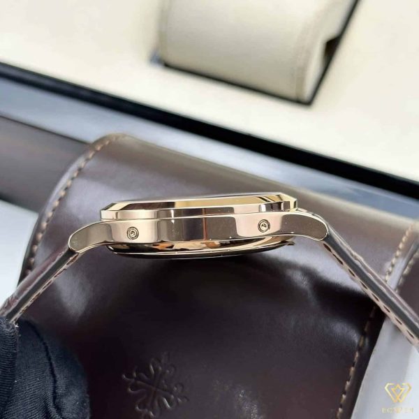 Patek Philippe Complications - Image 3